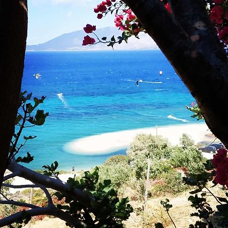 Marmari Megali Ammos Oasis Apartment & Studio Agia Marina  Eksteriør bilde
